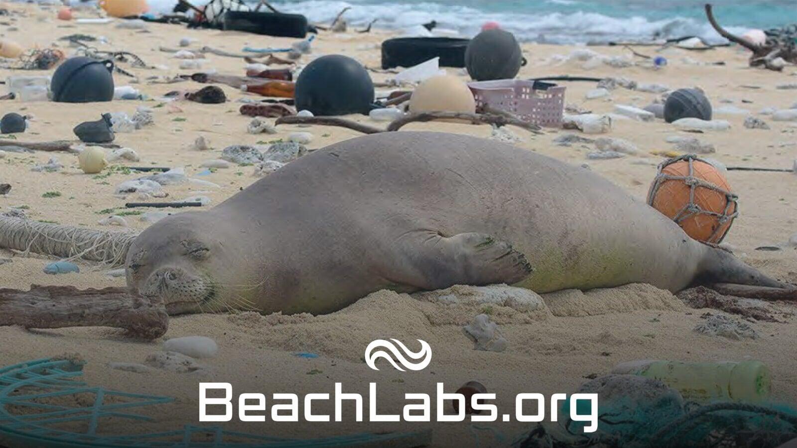 BeachLabs.org | Palm Beach